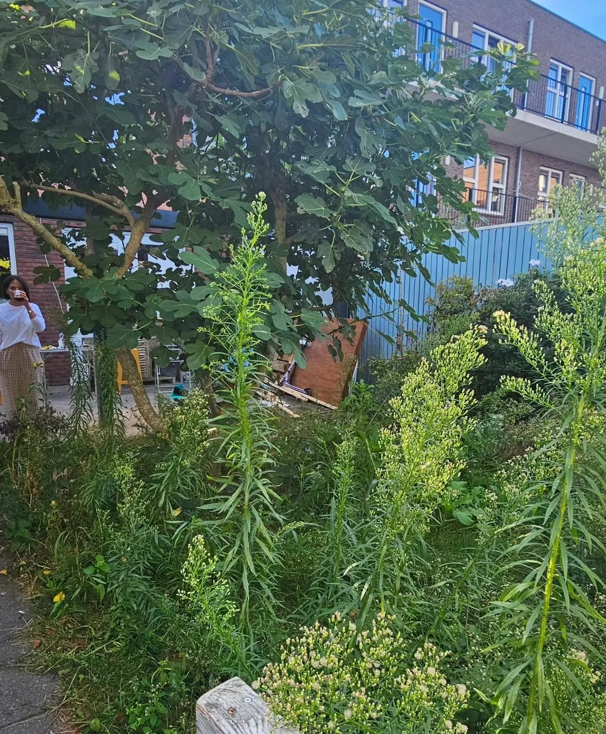 Tuinrenovatie Aalsmeer 2
