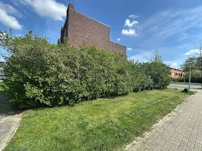 Voor